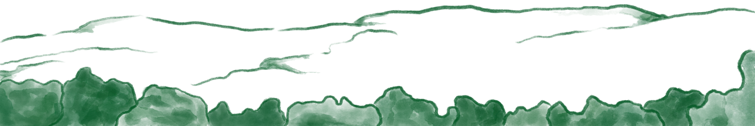 Illustration des monts Sutton et de la forêt